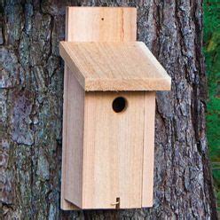 chickadee nest box nesting boxes backyard birds bird house