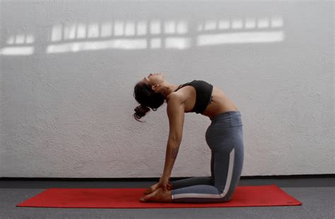 psoas defined explained  explored   yoga poses exercise