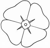 Template Poppy Coloring Remembrance Flower Poppies Colouring Pages Printable Flowers Outline Anzac Kids Drawing Craft Activities Print Rememberance Sheets Paper sketch template