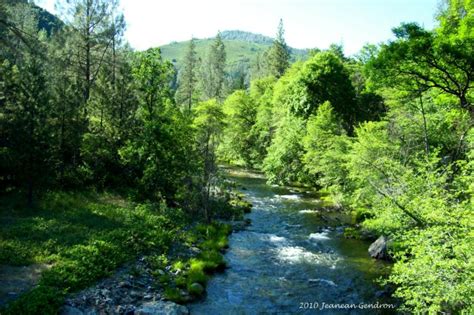 california lifestyle   shasta county ca   beautiful clear creek