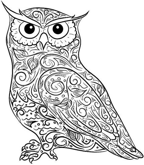 difficult owl coloring page  adults