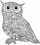 Owl Coloring Adult Adults Difficult sketch template