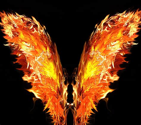 wings  fire wallpaper   blog