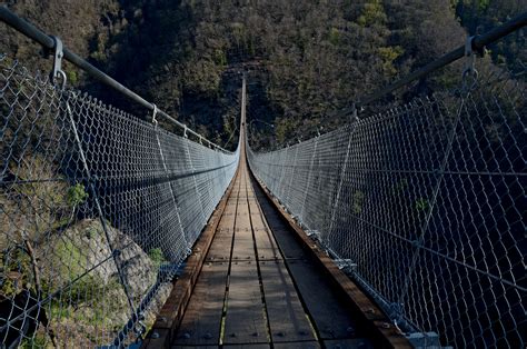 il ponte tibetano carasc tra monte carasso  sementina espazium