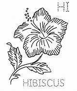 Coloring Hibiscus Flower Pages Puerto Rican Block Embroidery Drop Menu Hawaii Inch Size Click Trending Days Last Flickr Outline Select sketch template