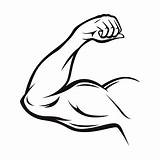 Arm Muscle Vector Strong Flexing Line Muscles Thin Clip Symbol Bicep Clipart Muscular Illustrations Flex Man Pose Illustration Vectors Strength sketch template
