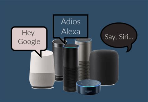 smart speaker  growing  voice payments growtoo payments