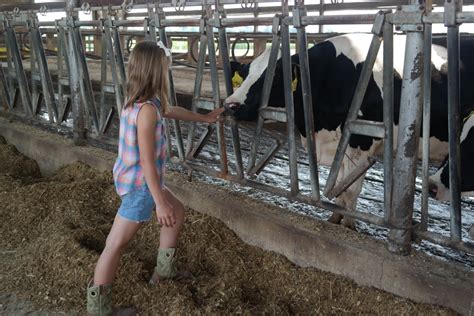 Dairy Farming Ladies Winners Drink Milk
