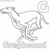 Greyhound sketch template