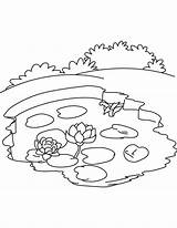 Pond Coloring Pages Ecosystem Lake Water Lily Drawing Printable Cycle Animals Kids Color Frog Sheet Carbon Ocean Getdrawings Nature Getcolorings sketch template