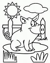 Pigs Coloring Printable Popular Pages sketch template