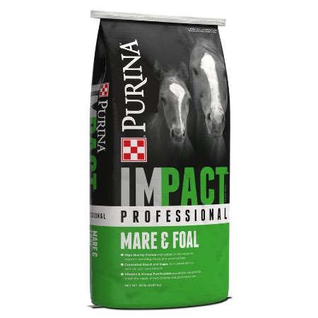 purina impact professional mare foal horse feed kissimmee valley feed