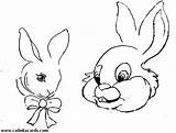 Coloring Face Bunny Easter Rabbit Pages Animal Faces Rabbits Drawing Printable Clipart Drawings Head Hagio Realistic Graphic Clipartbest Color Library sketch template