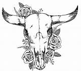 Skull Drawing Cow Longhorn Desert Roses Sketch Drawings Outline Sketches Redbubble Paintingvalley sketch template