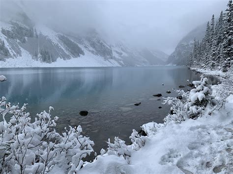 fresh snow  lake louise  banff national park alberta canada rhiking