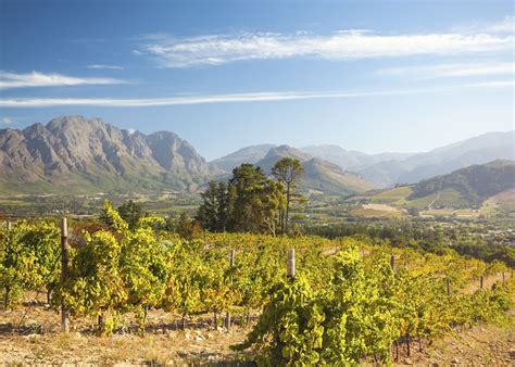 experience  cape region  winelands travel guide audley travel uk