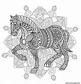 Coloring Animal Mandala Pages Horse Adult Printable Info sketch template
