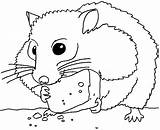 Humphrey Hamster sketch template