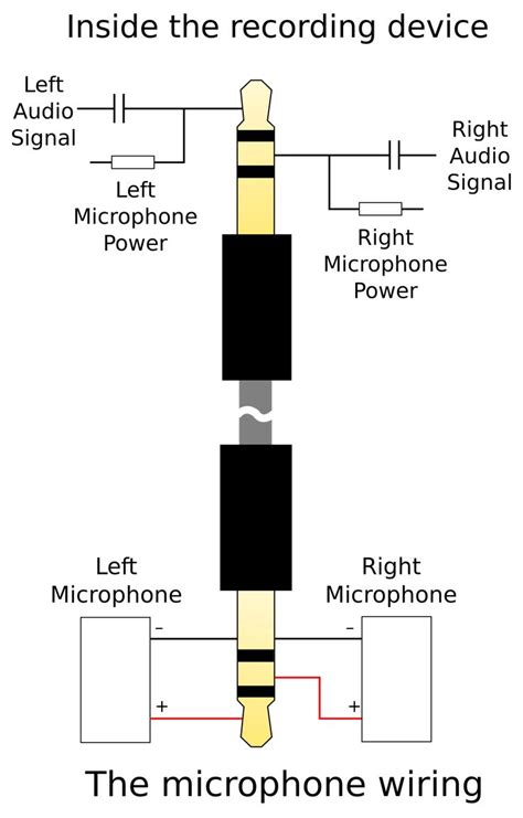 pin  dnt  skillful audio wire diagram