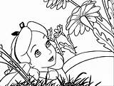 Wonderland Alice Pages Coloring Flower Flowers Printable Getcolorings Fascinating Top Wecoloringpage Cartoon sketch template