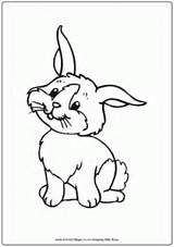 Rabbit Activityvillage sketch template
