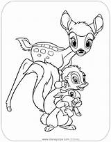 Bambi Coloring Pages Flower Thumper Disneyclips Friends sketch template