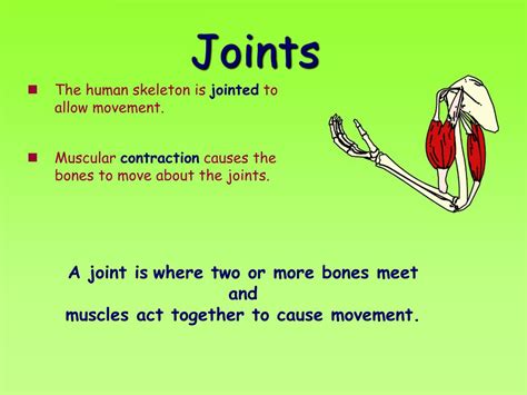 joints powerpoint    id