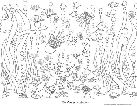 sea life coloring page art pinterest