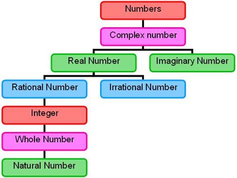 number system math  fun