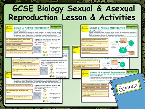 ks4 aqa gcse science spec sexual and asexual reproduction