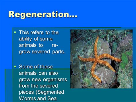 asexual reproduction lesson presentation biology