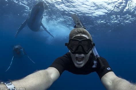 photographer craig parry takes selfie with two humpback whales off