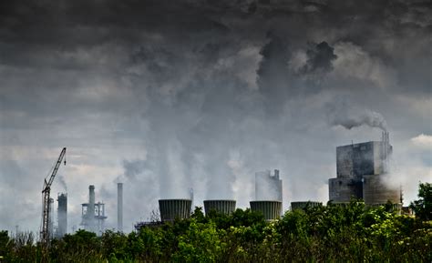 air pollution linked to genetic mutations
