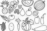 Fruits Groenten Frutas Reeks Verschillende Gemüse Sorten Obst Tomatenpflanze Lebenszyklus Fruta sketch template