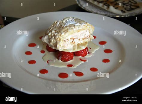 plate  fancy restaurant food stock photo alamy