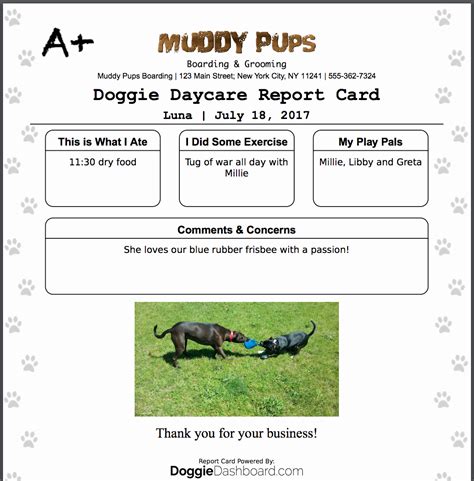 printable dog daycare report card template  calendar printable