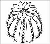 Coloring Cactus Pages Color Flowers Drawing Printable Number Easy Simple Online Flower Desert Printables Para Kids Coloritbynumbers Dibujos Adult Google sketch template
