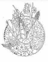 Lente Kleurplaat Kleurplaten Volwassenen Groep Mandalas Bloemen Dieren Lentebloemen Voorjaar Downloaden Bloem Bezoeken Omnilabo Bord Lentekriebels Boek Uitprinten sketch template