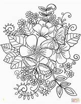 Coloring Flowers Printable Pages Butterflies Divyajanani sketch template