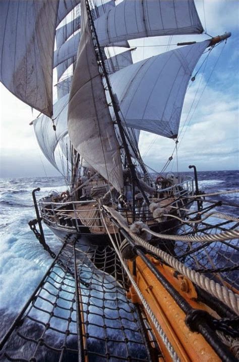 sailing sailing  sailing ships boat