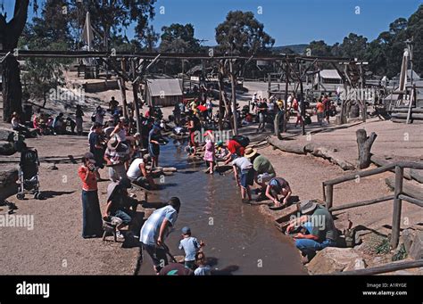 visitors   hands  gold prospecting  sovereign hill theme