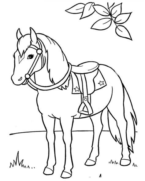 saddle coloring pages  getcoloringscom  printable colorings