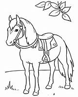 Horse Coloring Pages Saddle Horses Kids Printable Print Colouring Animal Palomino Color Sheets Girls Stallion Animals Printables Books Adult Farm sketch template