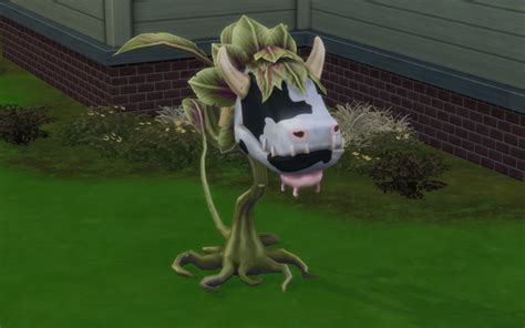 grow cowplant sims  pictures