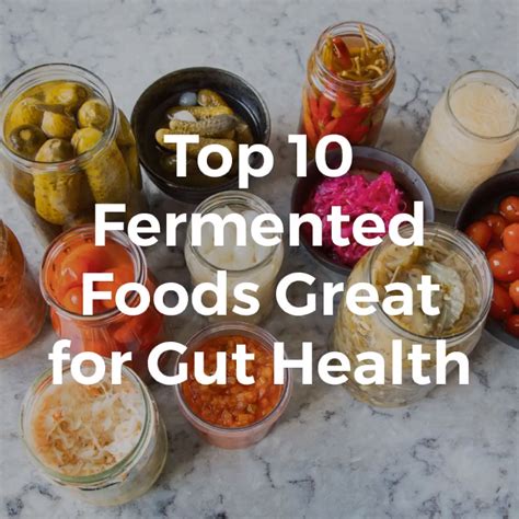 top 10 fermented foods great for gut health watch to see the top 10