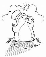 Groundhog Coloring Pages Printable Little Hat sketch template