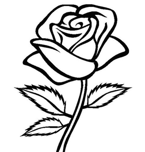 gambar bunga mawar hitam putih harian nusantara