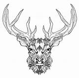 Ausmalbilder Cerf Erwachsene Hirsch Tiere Adultes Coloriages U00fcr Sensationell Niedlich sketch template