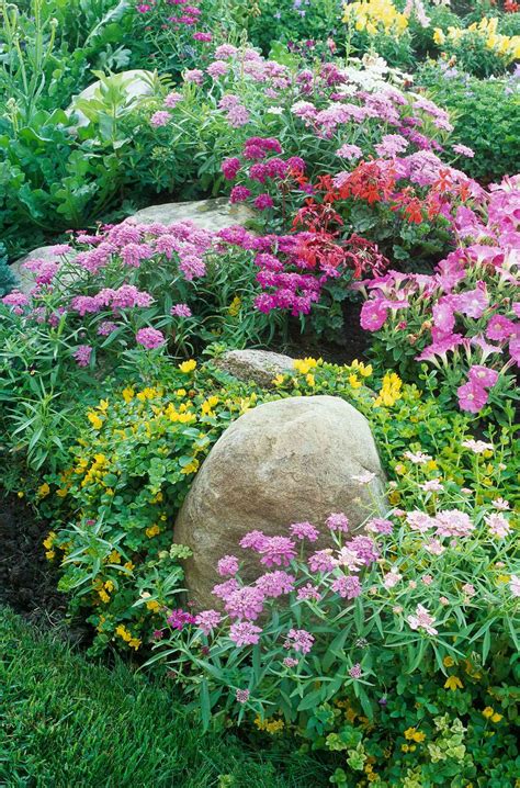 create   maintenance cottage garden  homes gardens