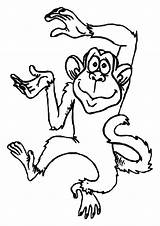 Monkeys Coloring Pages Kids Easy Print sketch template